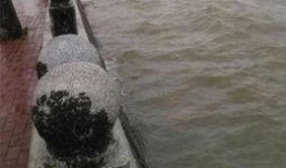 广东湛江新闻爆料,爆料的背后，揭开湛江发展新篇章